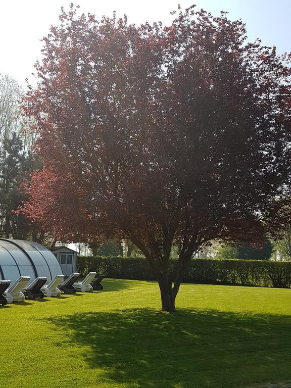 Hotel Du Golf Cabourg Dış mekan fotoğraf