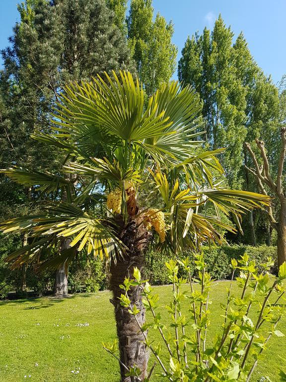 Hotel Du Golf Cabourg Dış mekan fotoğraf